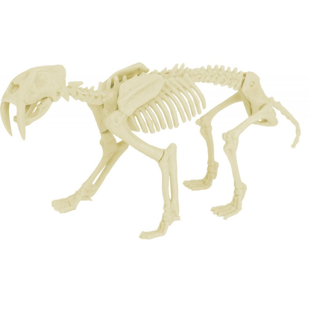 Kit paleo - smilodon orange