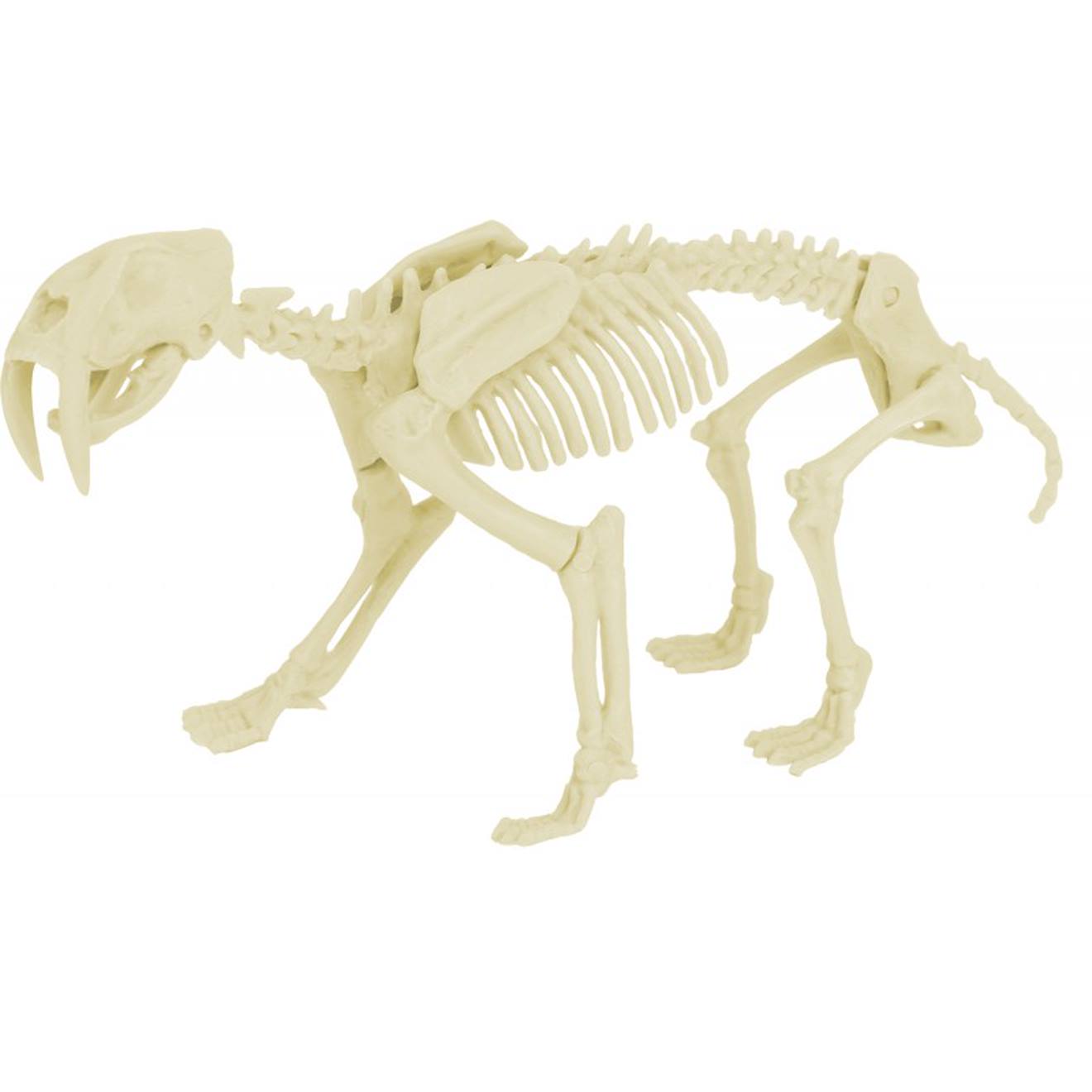 Kit paleo - smilodon orange