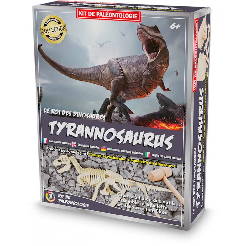 Kit paleo - tyrannosaure noir