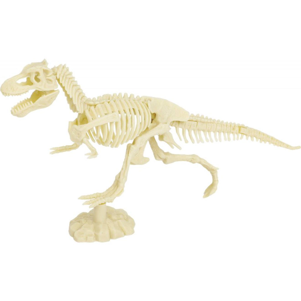 Kit paleo - tyrannosaure noir