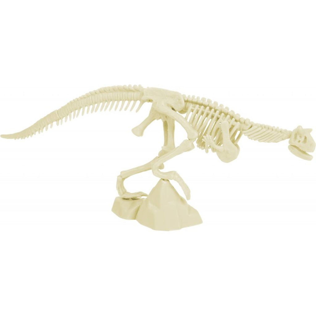 Kit paleo - vélociraptor rouge