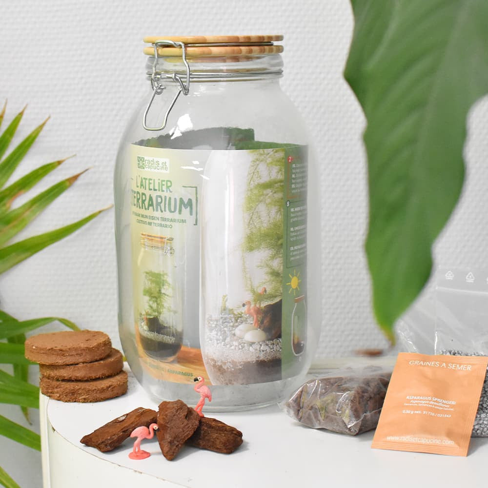 Kit Terrarium à Composer - Vase Original