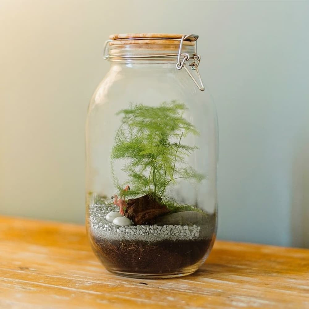 Kit Terrarium à Composer - Vase Original