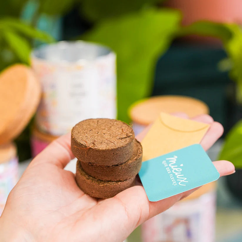 Kit à planter personnalisé - Le cadeau nature qui pousse… et fait fondre