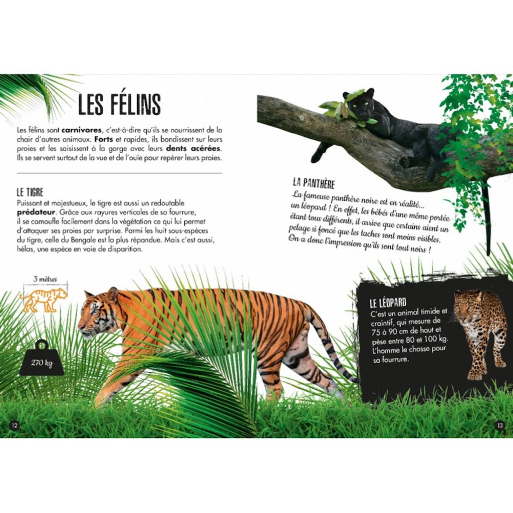 La jungle - l'éléphant 3D vert