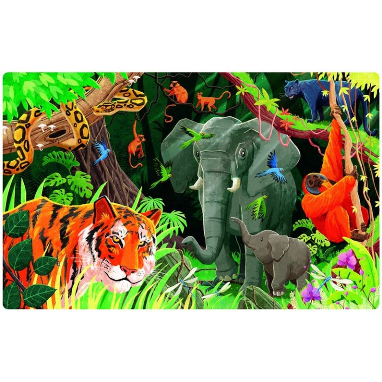 La planète en danger - la jungle orange