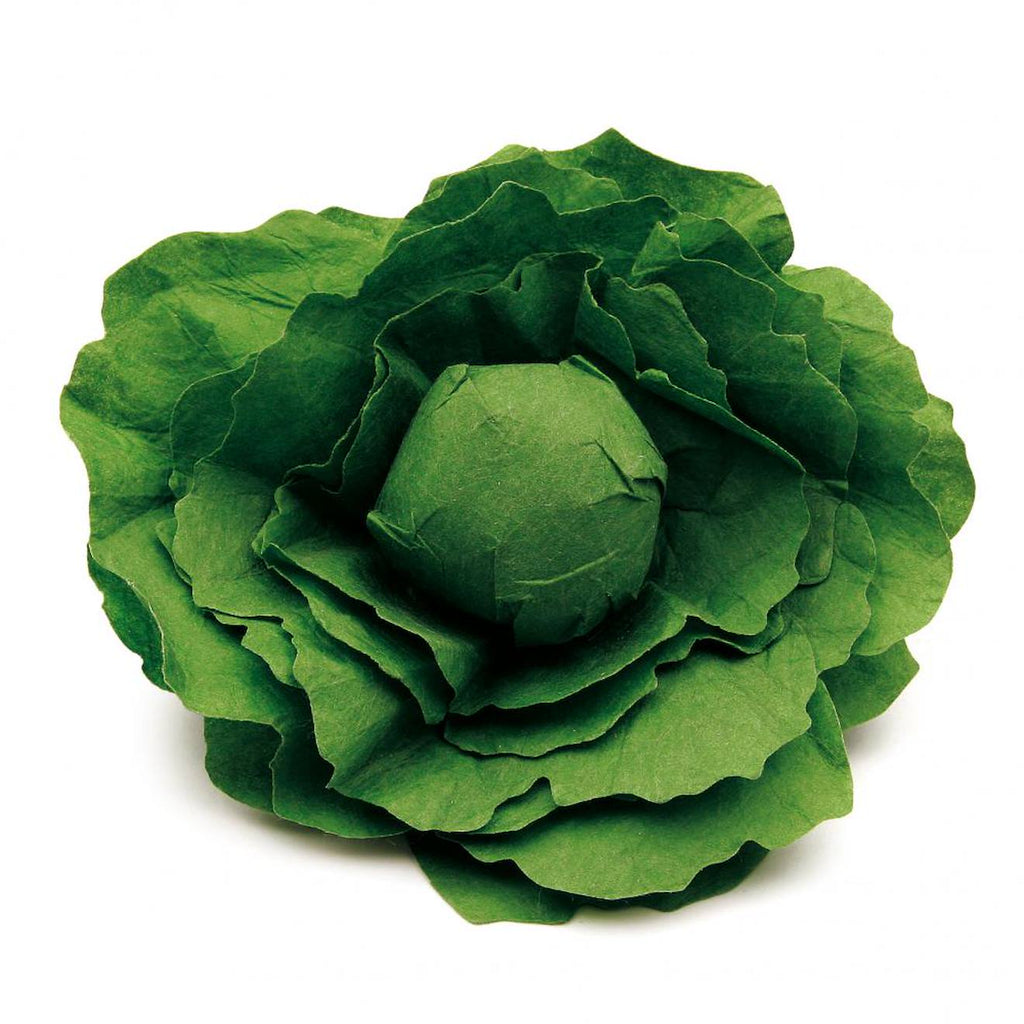 Laitue verte vert