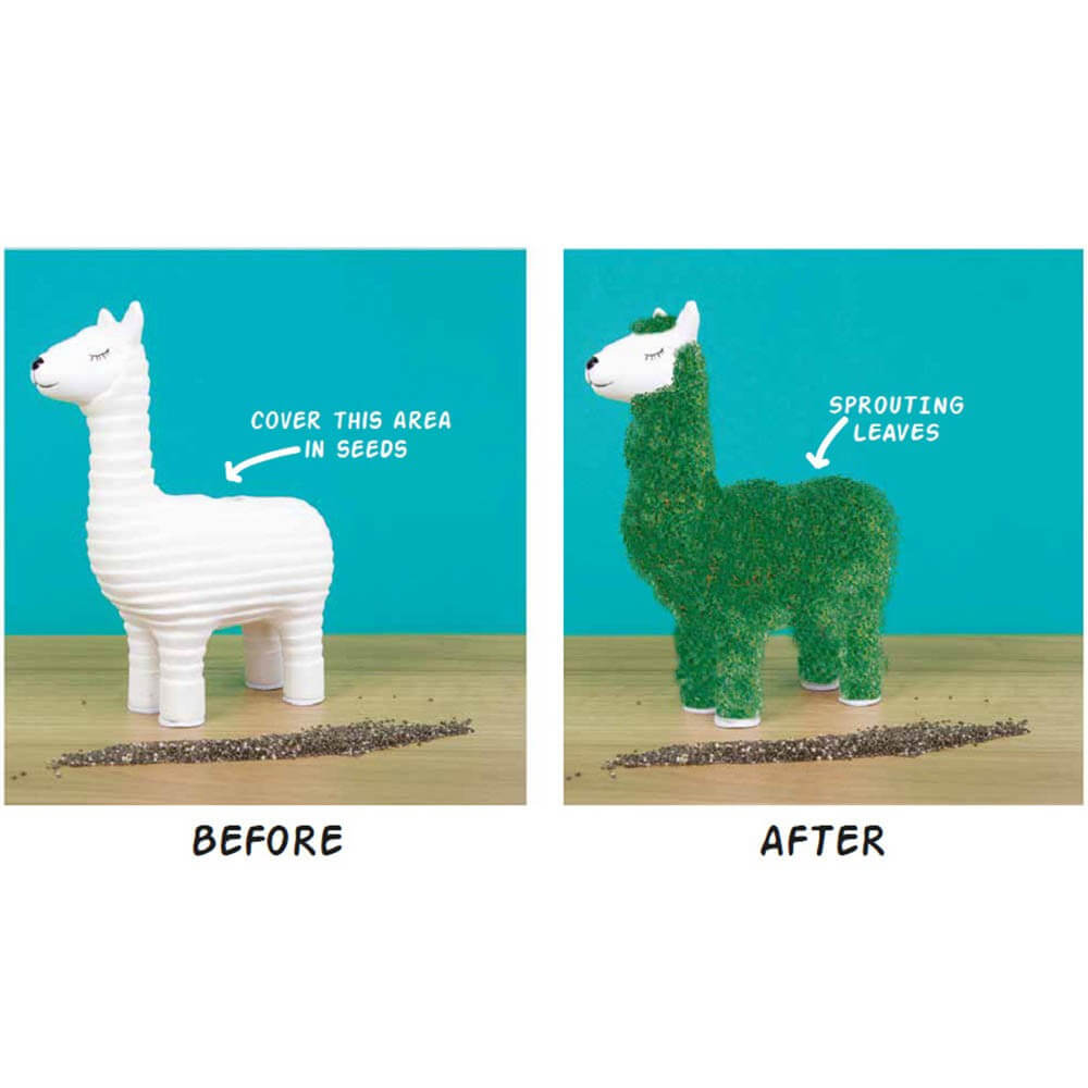 Lama à Faire Pousser - Kits de Plantation Gift Republic