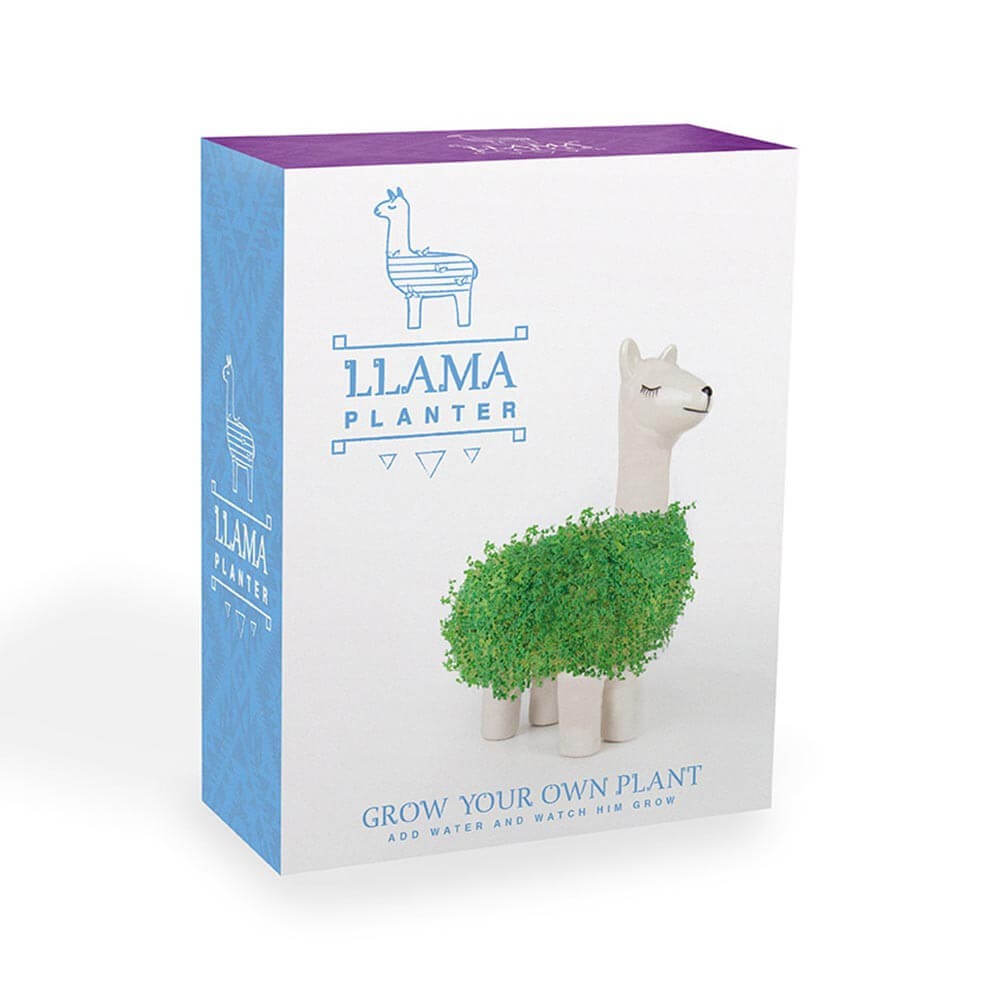 Lama à Faire Pousser - Kits de Plantation Gift Republic
