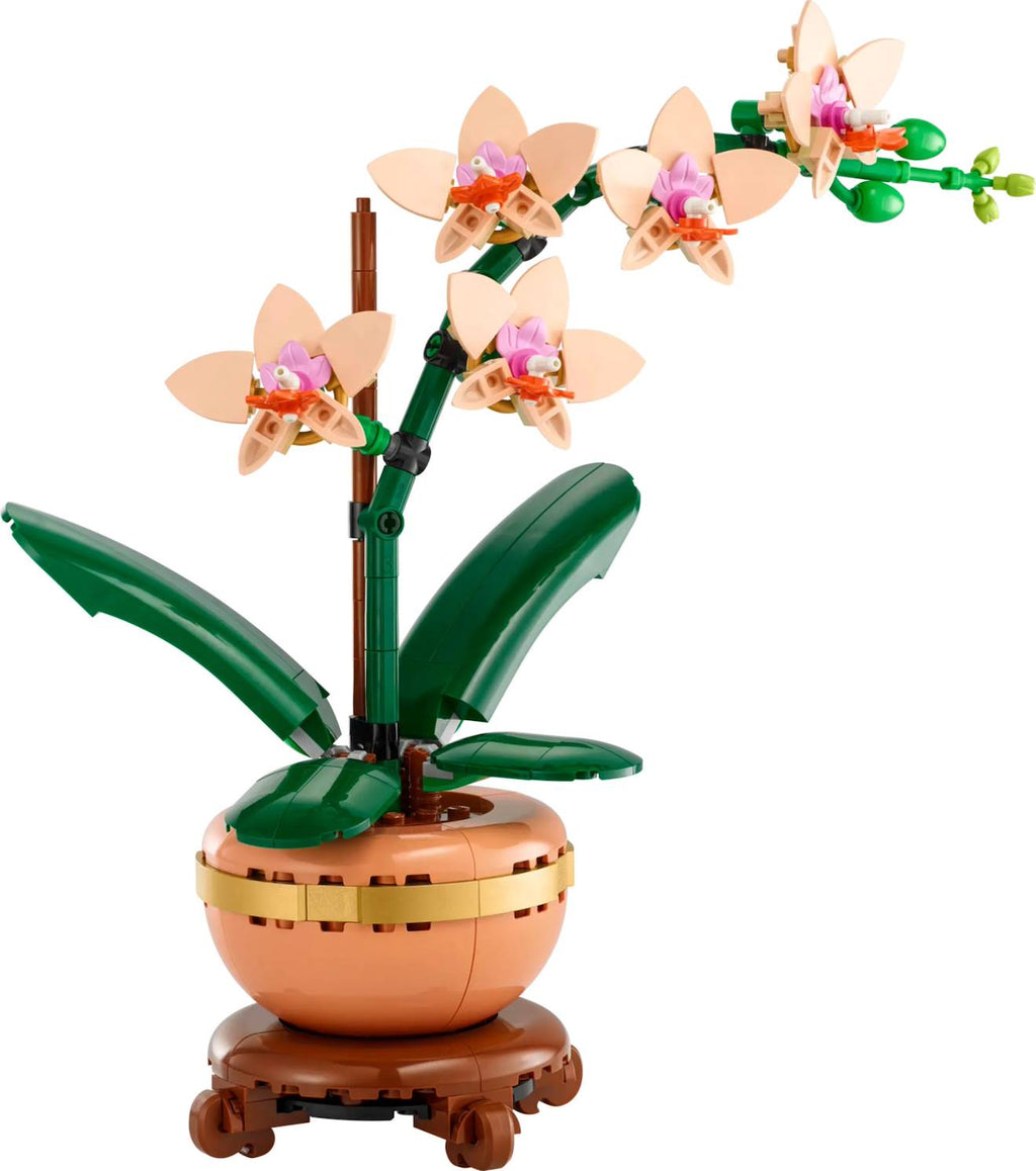 LEGO botanicals - LEGO icons - l'orchidée miniature - 10343 multicolore