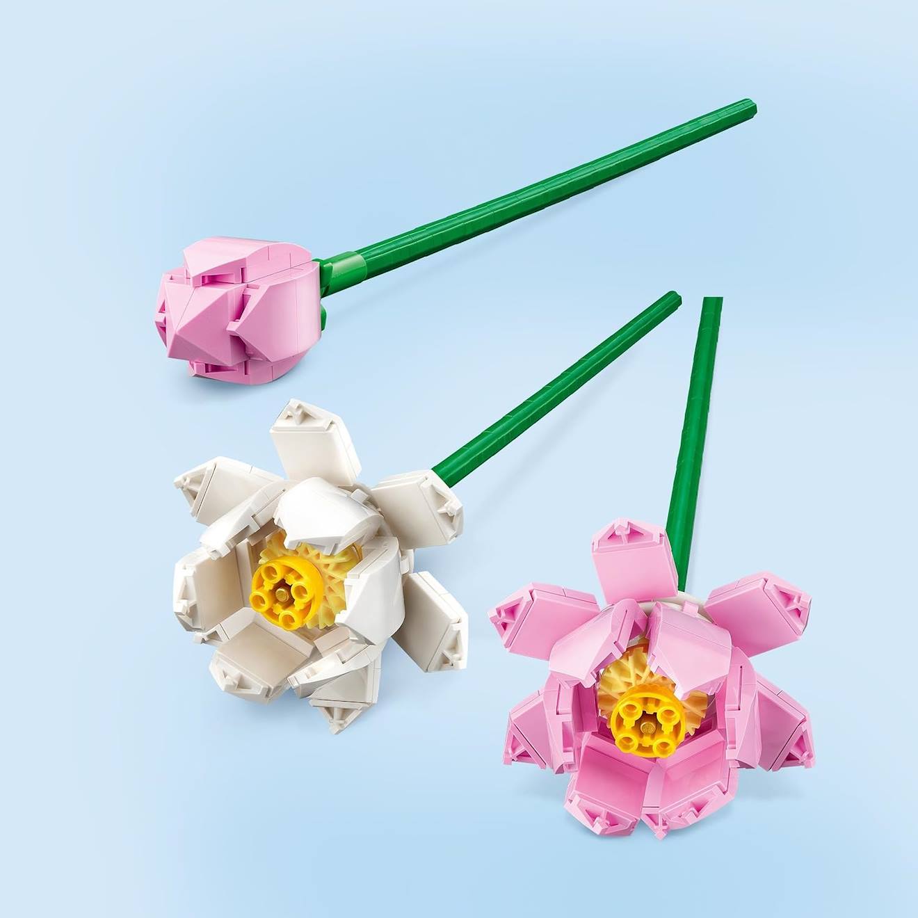 LEGO botanicals - les fleurs de lotus - 40647 multicolore