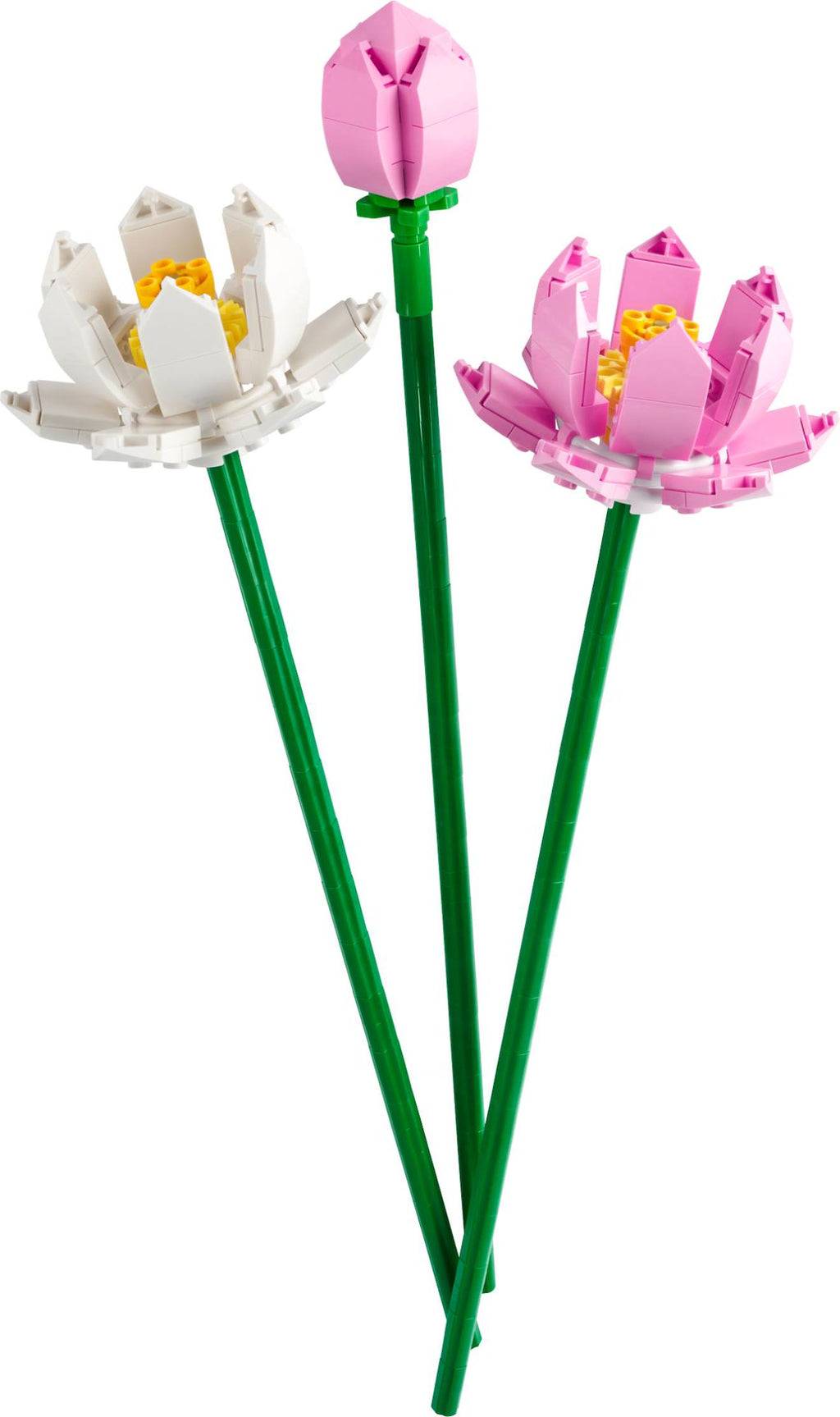 LEGO botanicals - les fleurs de lotus - 40647 multicolore
