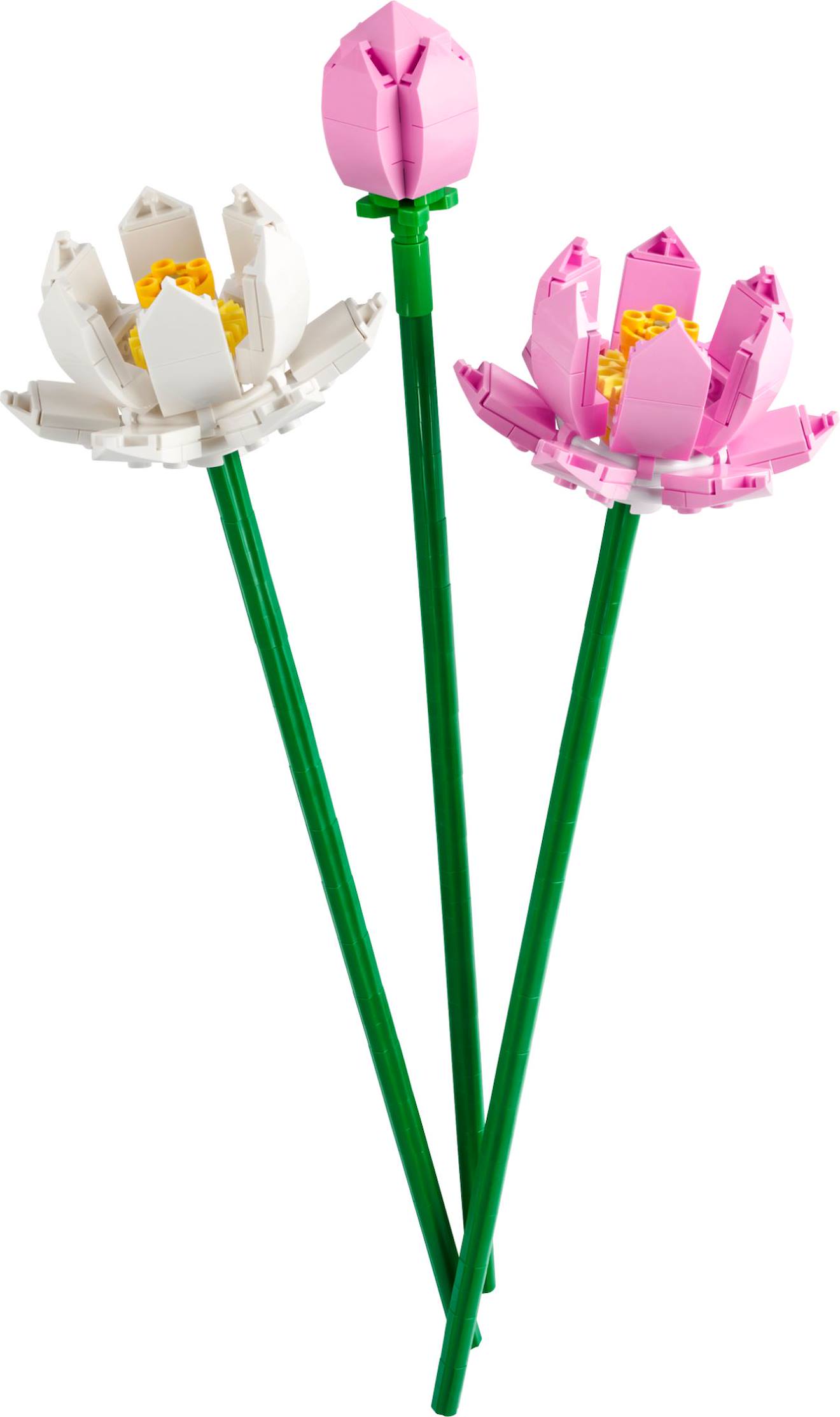LEGO botanicals - les fleurs de lotus - 40647 multicolore