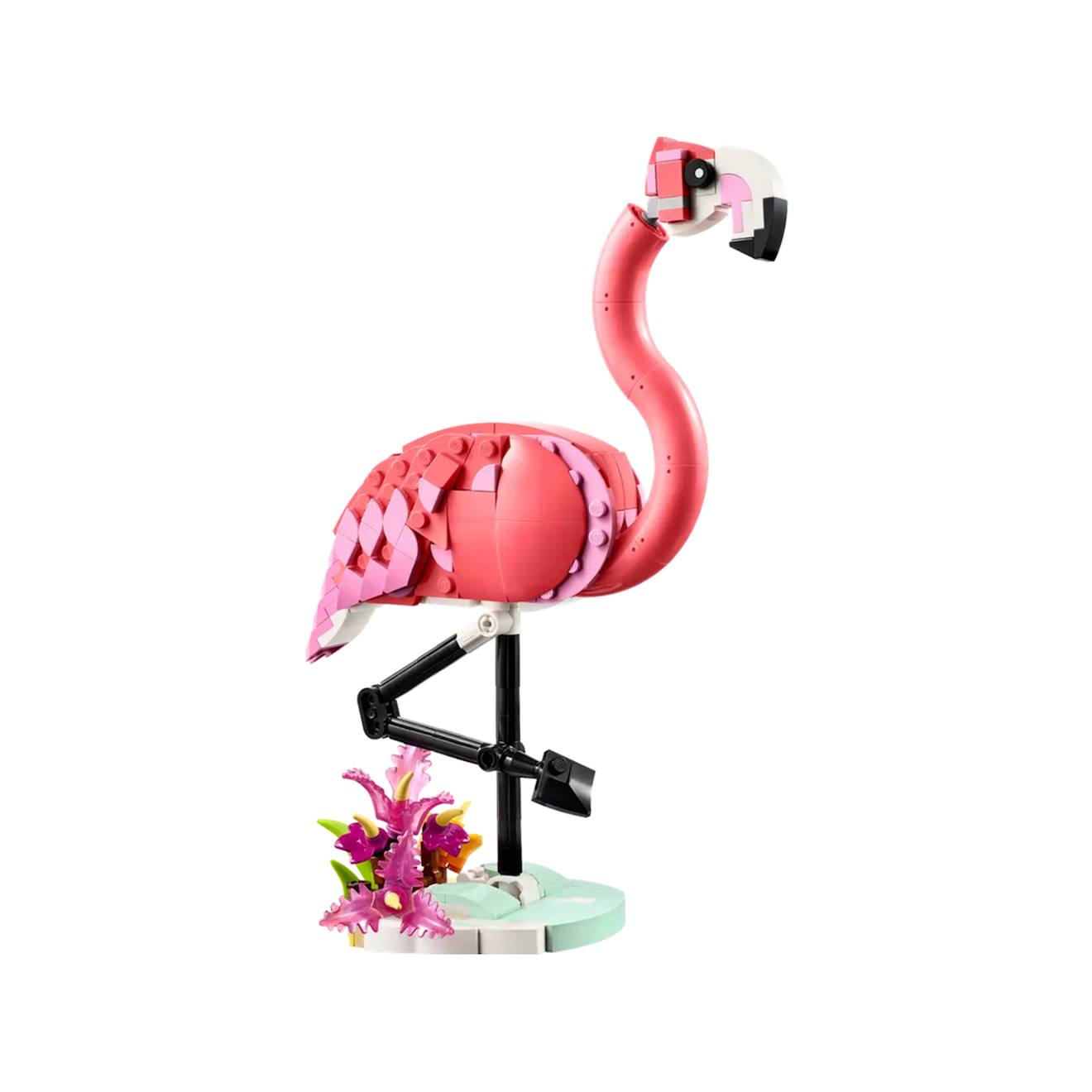 LEGO creator - animaux sauvages : le flamant rose - 31170 multicolore