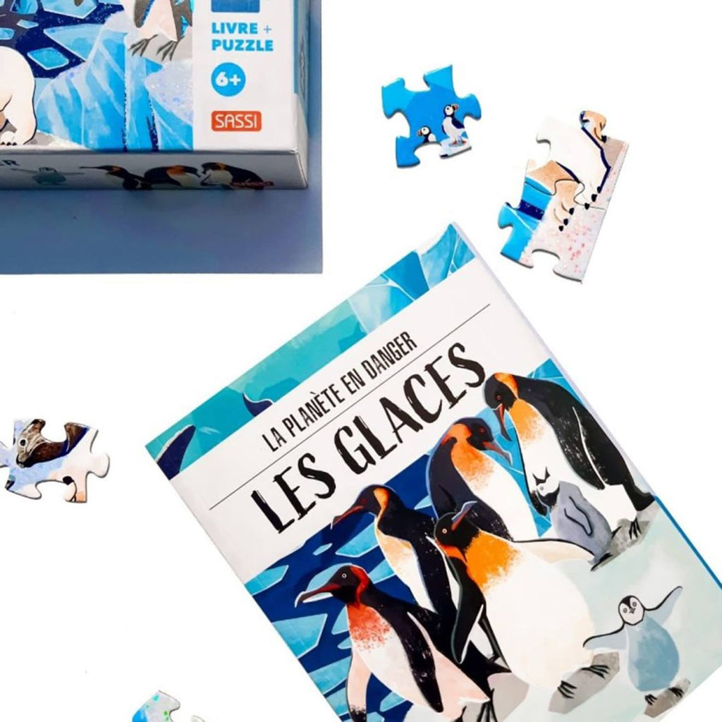 Livré et puzzle la planète en danger - les glaces bleu