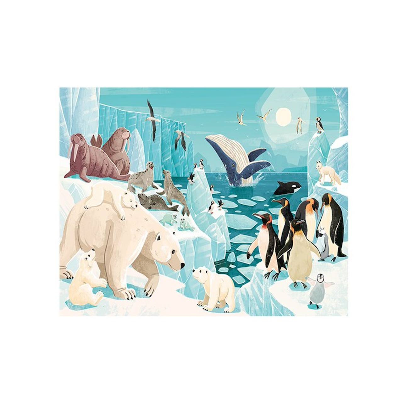 Livré et puzzle la planète en danger - les glaces bleu