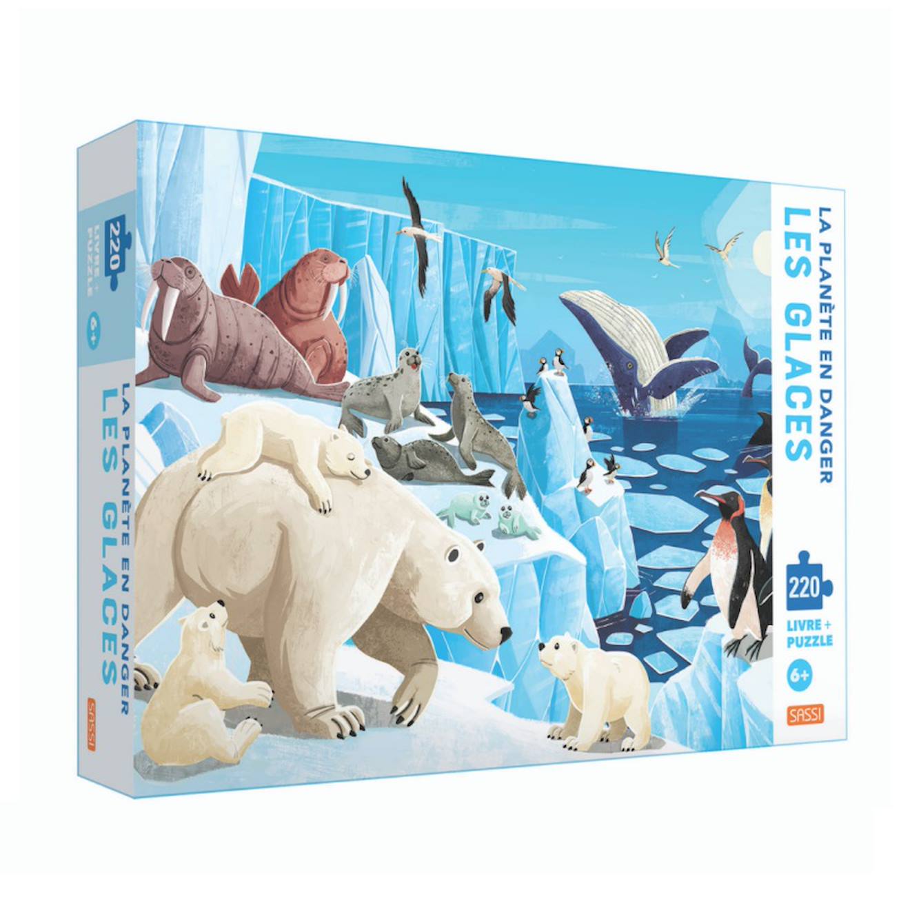 Livré et puzzle la planète en danger - les glaces bleu