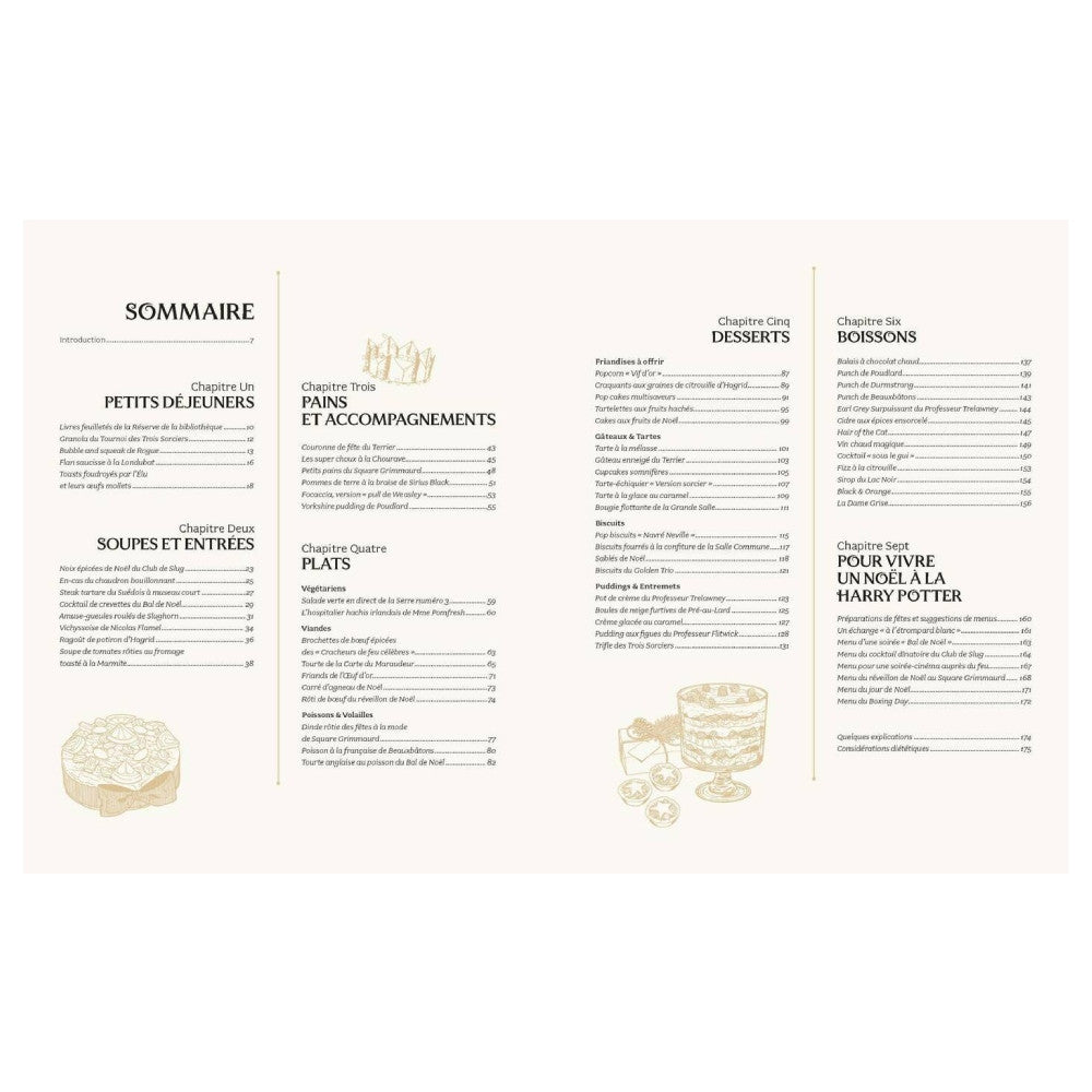 Livre Harry Potter Recettes de Fêtes - Livre à Offrir
