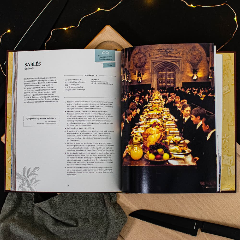 Livre Harry Potter Recettes de Fêtes - Livre à Offrir