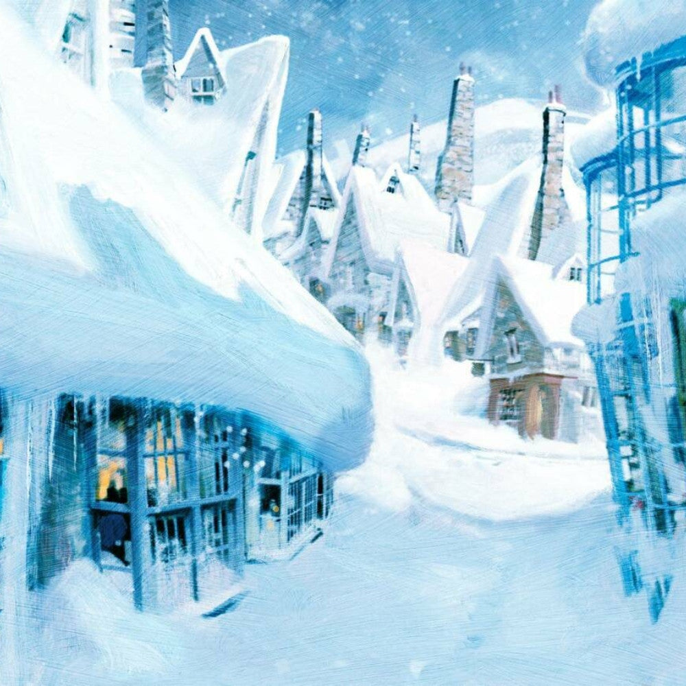 Livre Harry Potter Recettes de Fêtes - Livre à Offrir