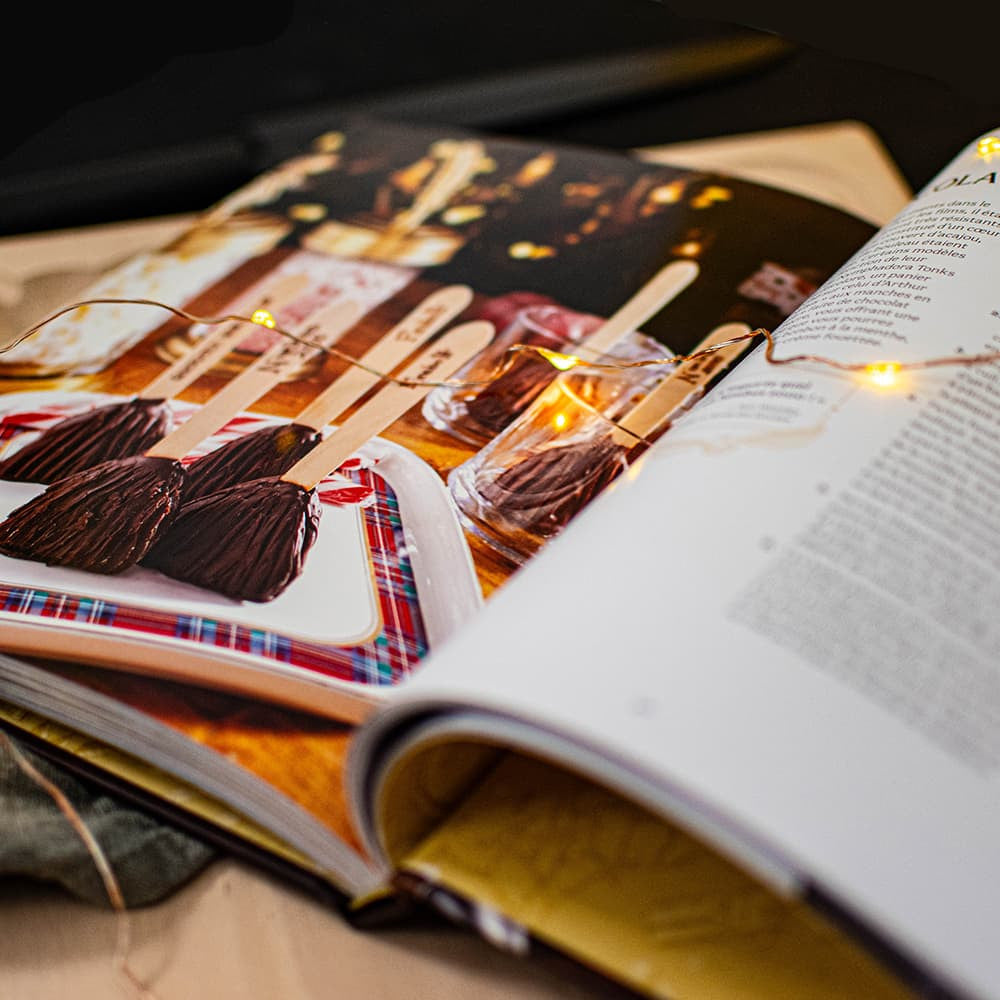 Livre Harry Potter Recettes de Fêtes - Livre à Offrir