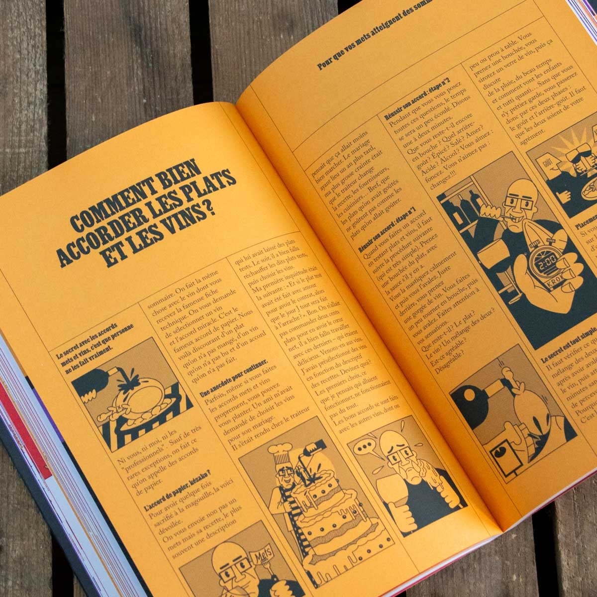 Livre OVNI Objet Vinicole Non Identifié