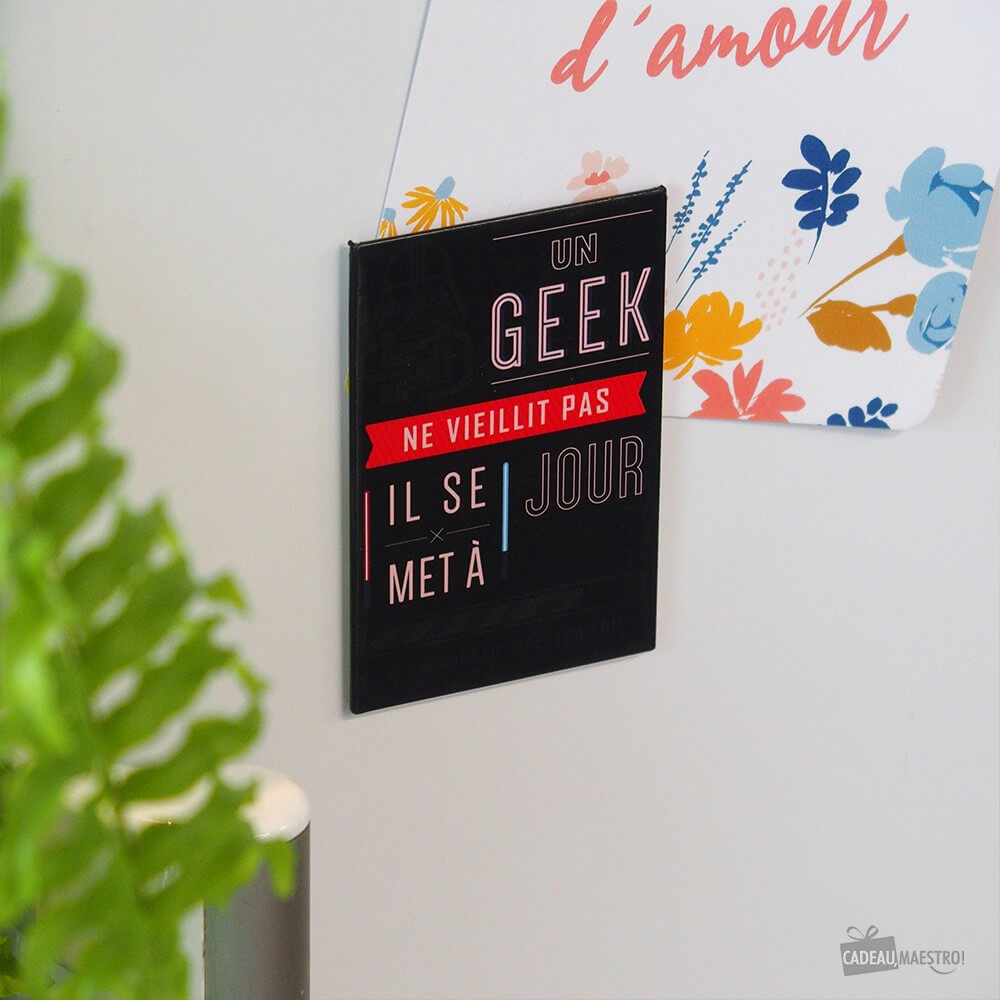Magnet Geek - Objet Déco Original CadoMaestro