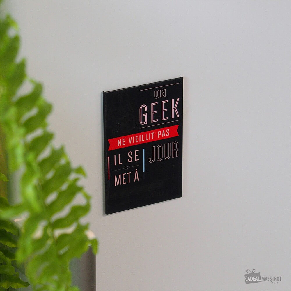 Magnet Geek - Objet Déco Original CadoMaestro