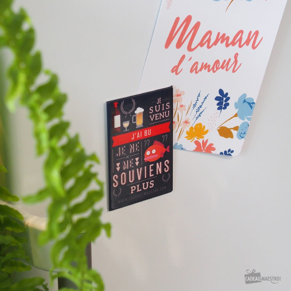 Magnet J'ai Bu - Objet Déco Original CadoMaestro