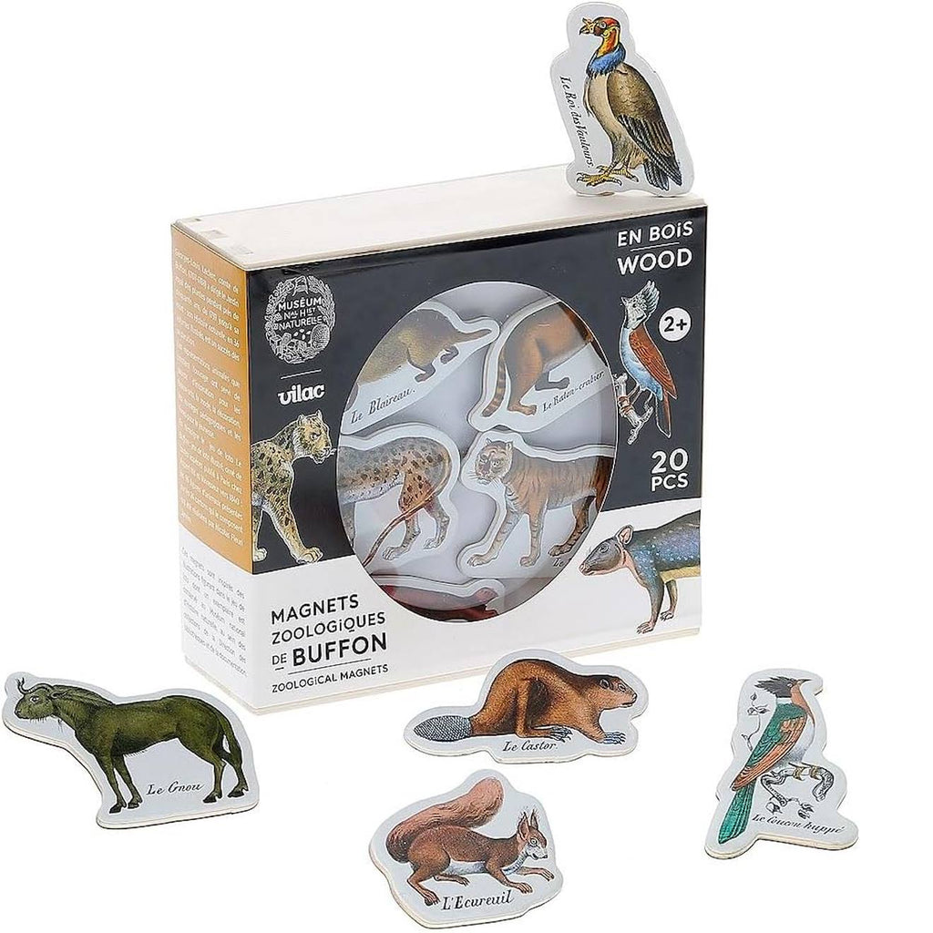 Magnets zoologiques de buffon beige