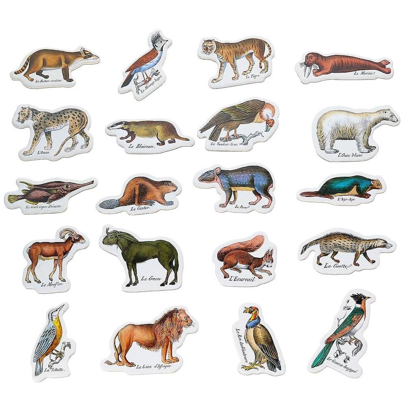 Magnets zoologiques de buffon beige