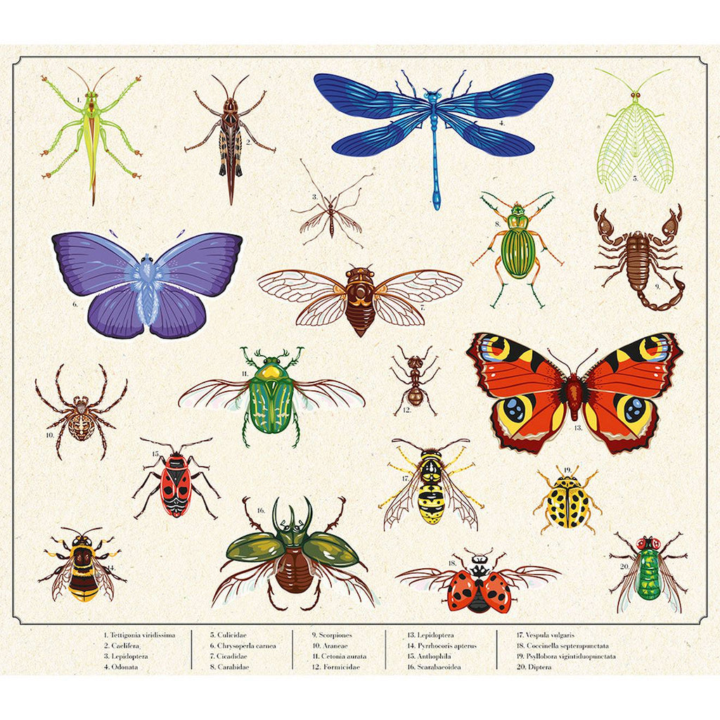 Mallette d'explorateur du jardin multicolore