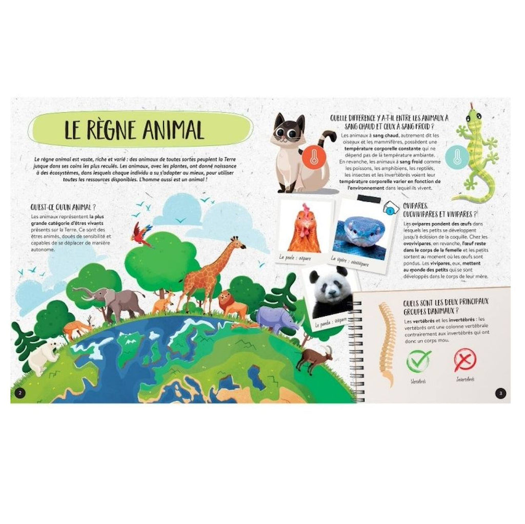 Méga atlas des animaux bleu