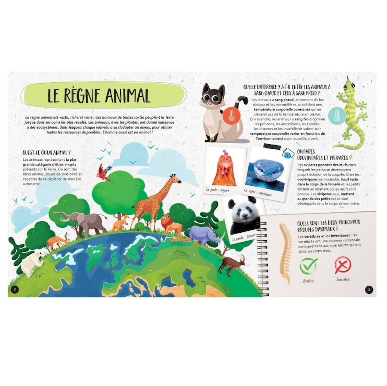Méga atlas des animaux bleu