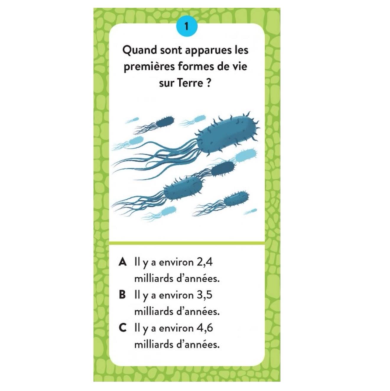 Méga atlas des dinosaures vert