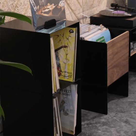 Meuble vinyles acier thermolaqué