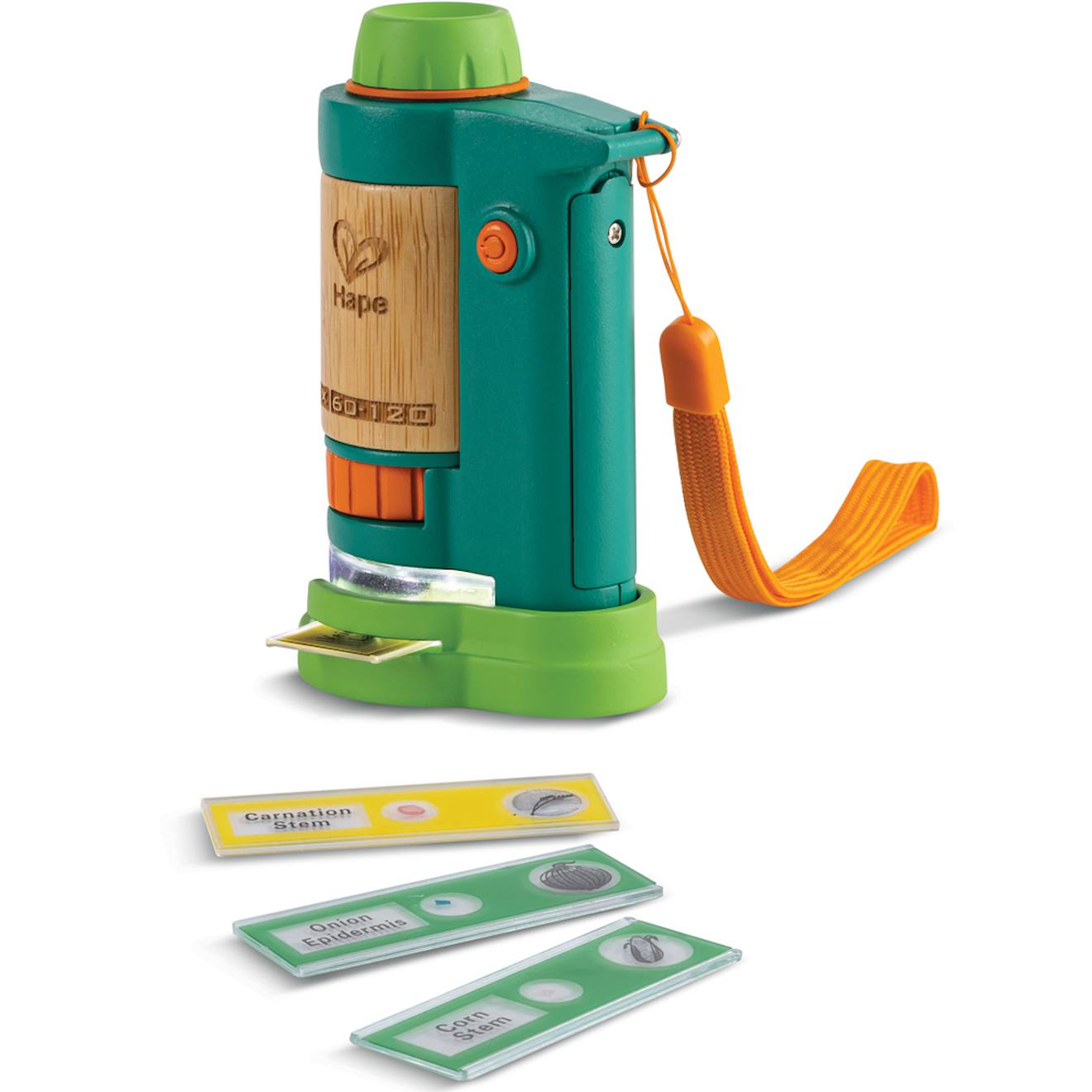 Microscope en bambou bleu, vert, orange