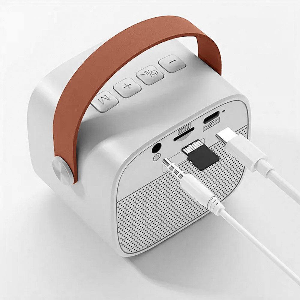 Micros Karaoké Sans Fil Duo - Enceinte Originale