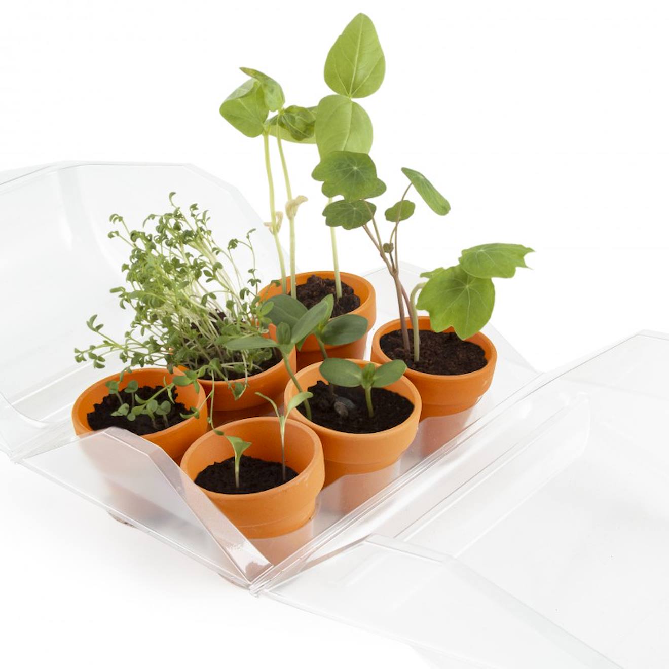 Mini-serre mon premier jardin vert