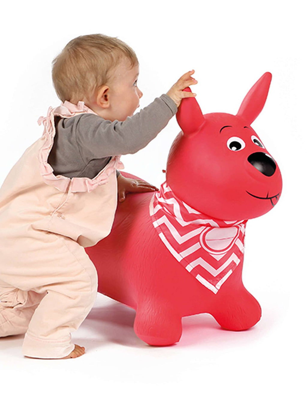 Mon animal sauteur chien rouge