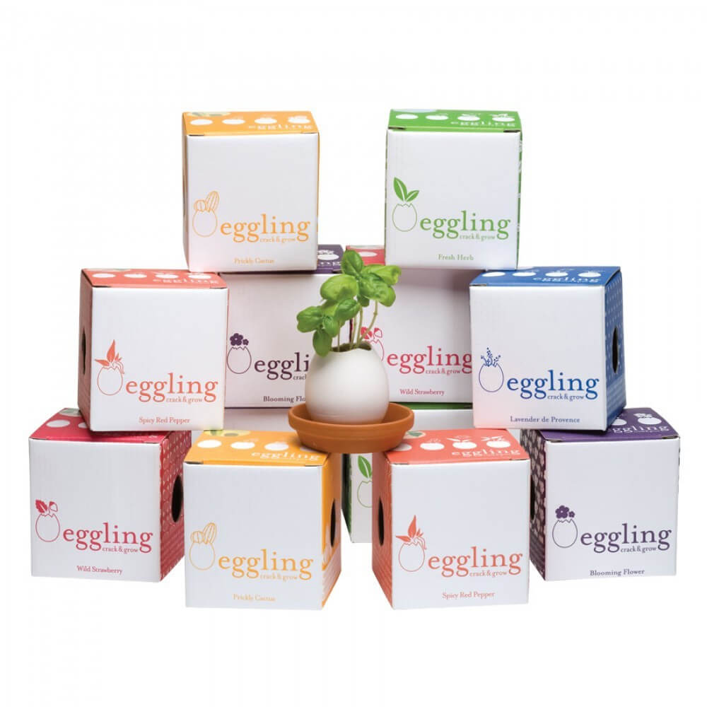 Oeuf à Faire Pousser Eggling Basilic - Kits de Plantation CadoMaestro