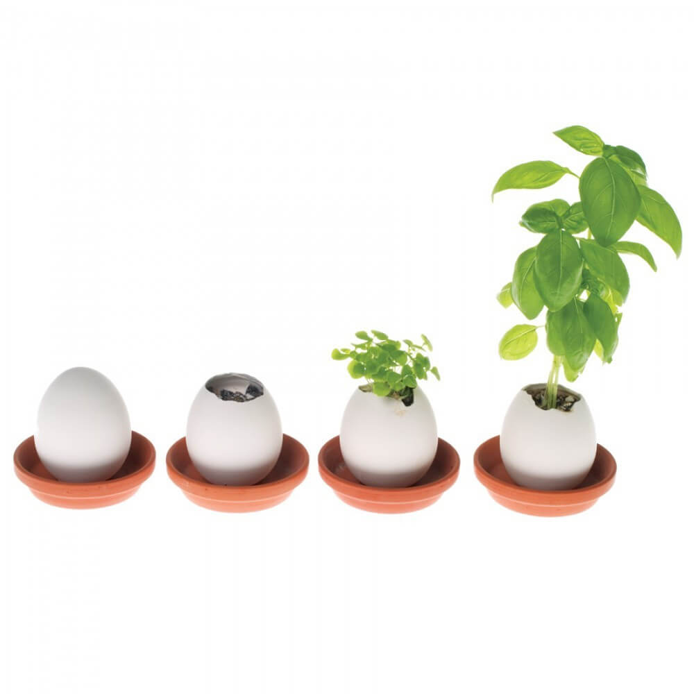 Oeuf à Faire Pousser Eggling Basilic - Kits de Plantation CadoMaestro