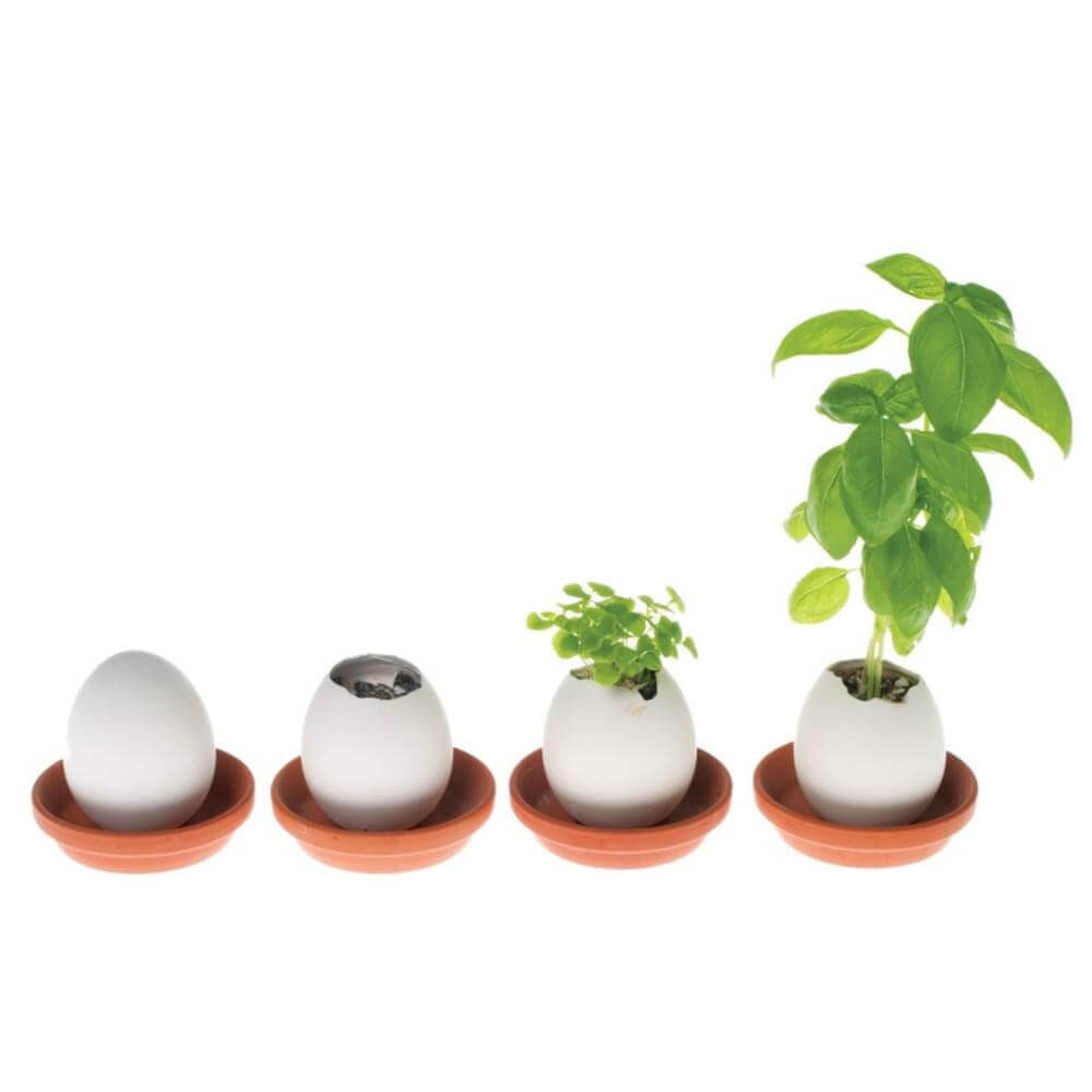 Oeuf à Faire Pousser Eggling Fraise - Kits de Plantation CadoMaestro