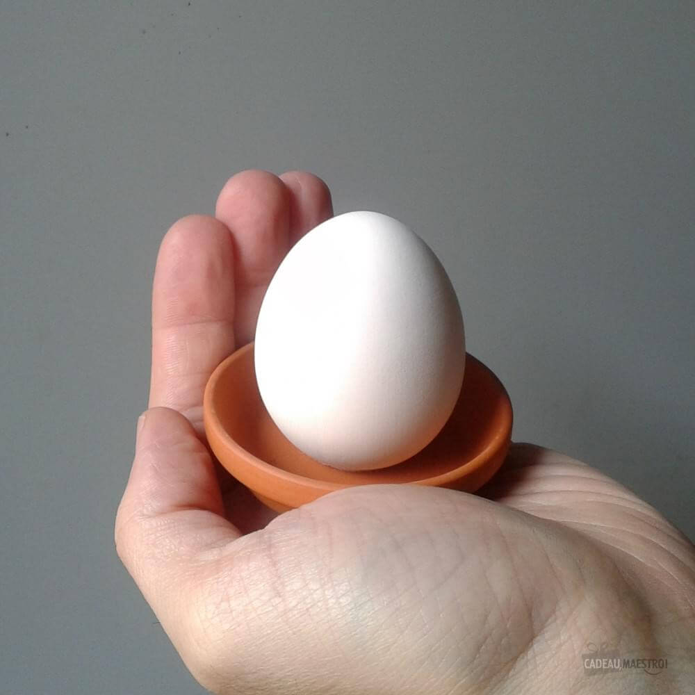 Oeuf à Faire Pousser Eggling Fraise - Kits de Plantation CadoMaestro