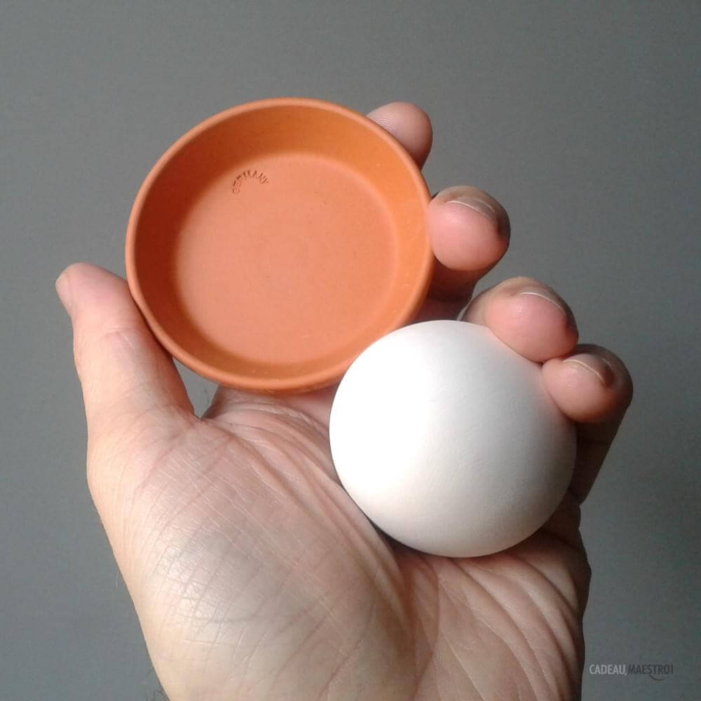 Oeuf à Faire Pousser Eggling Fraise - Kits de Plantation CadoMaestro