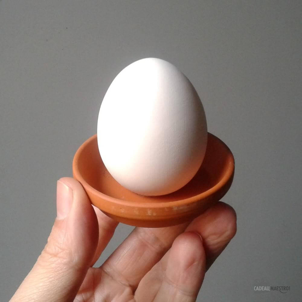 Oeuf à Faire Pousser Eggling Fraise - Kits de Plantation CadoMaestro