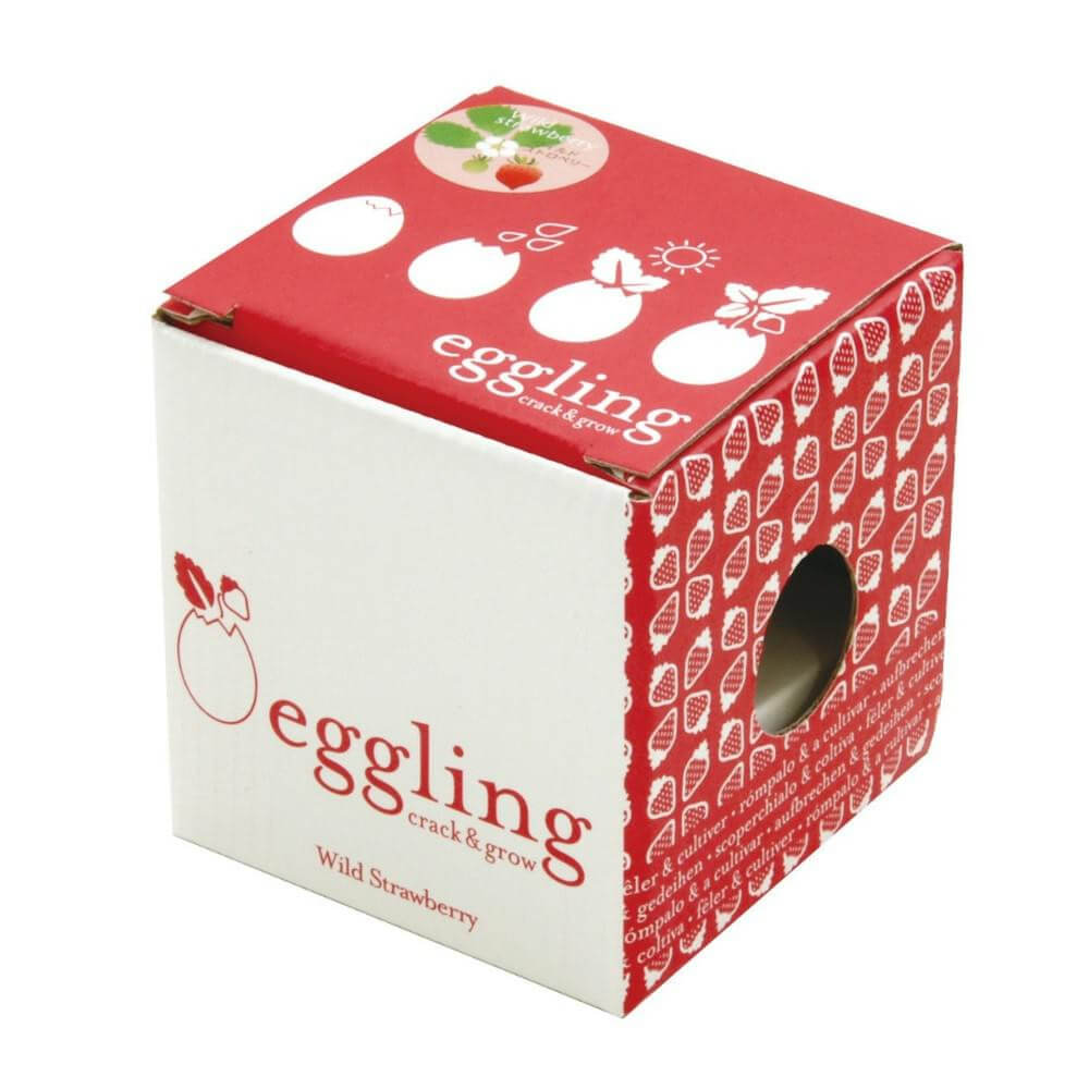 Oeuf à Faire Pousser Eggling Fraise - Kits de Plantation CadoMaestro