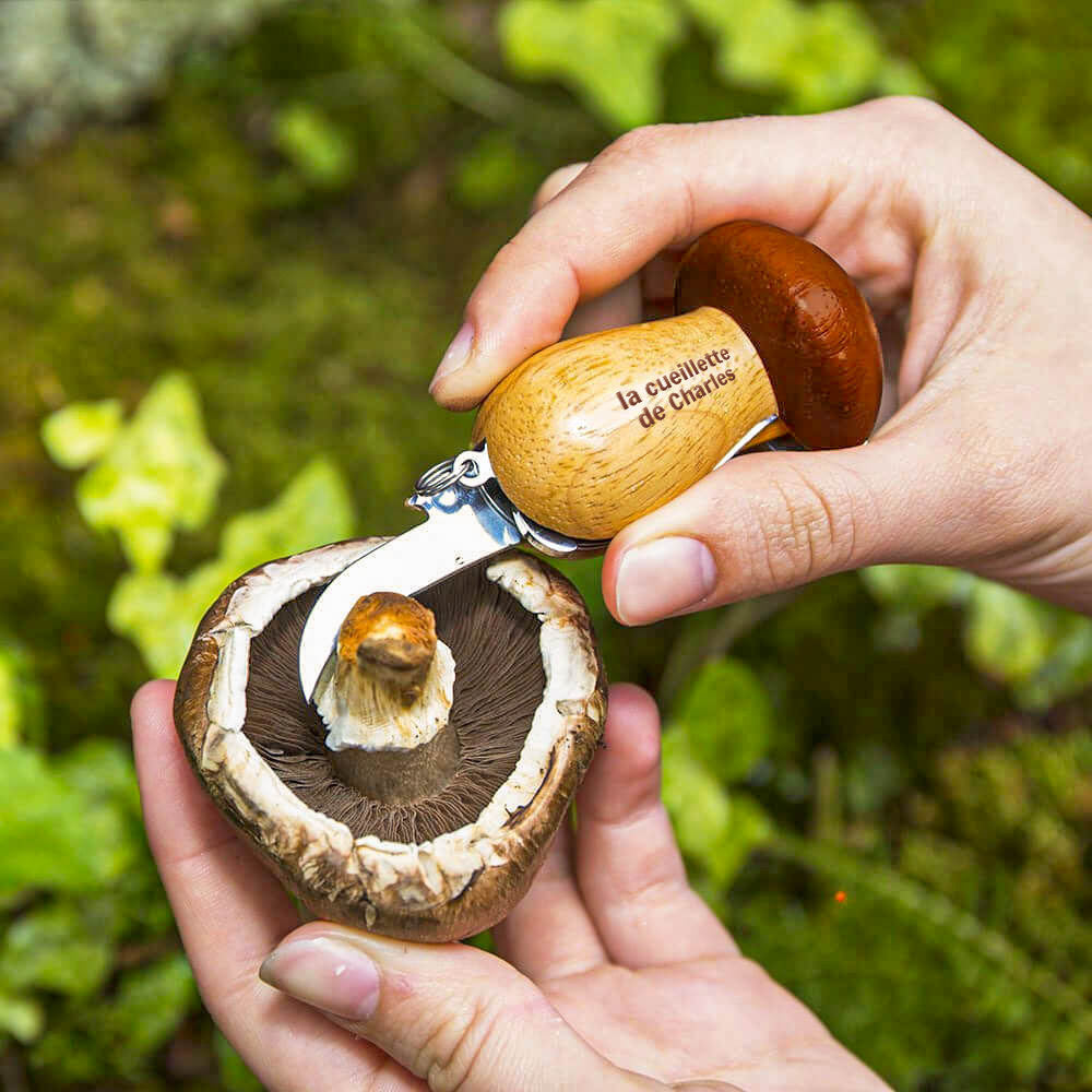 Outils pour Champignons Multifonctions à Personnaliser - Champignon