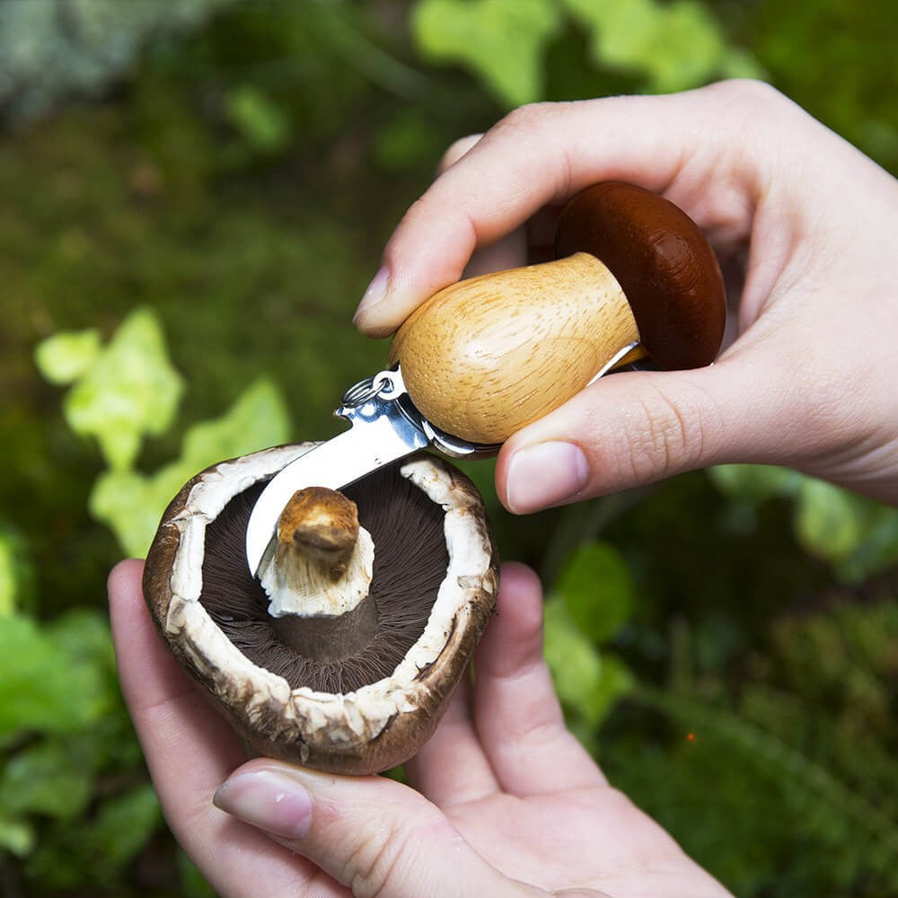 Outils pour Champignons Multifonctions - Champignon