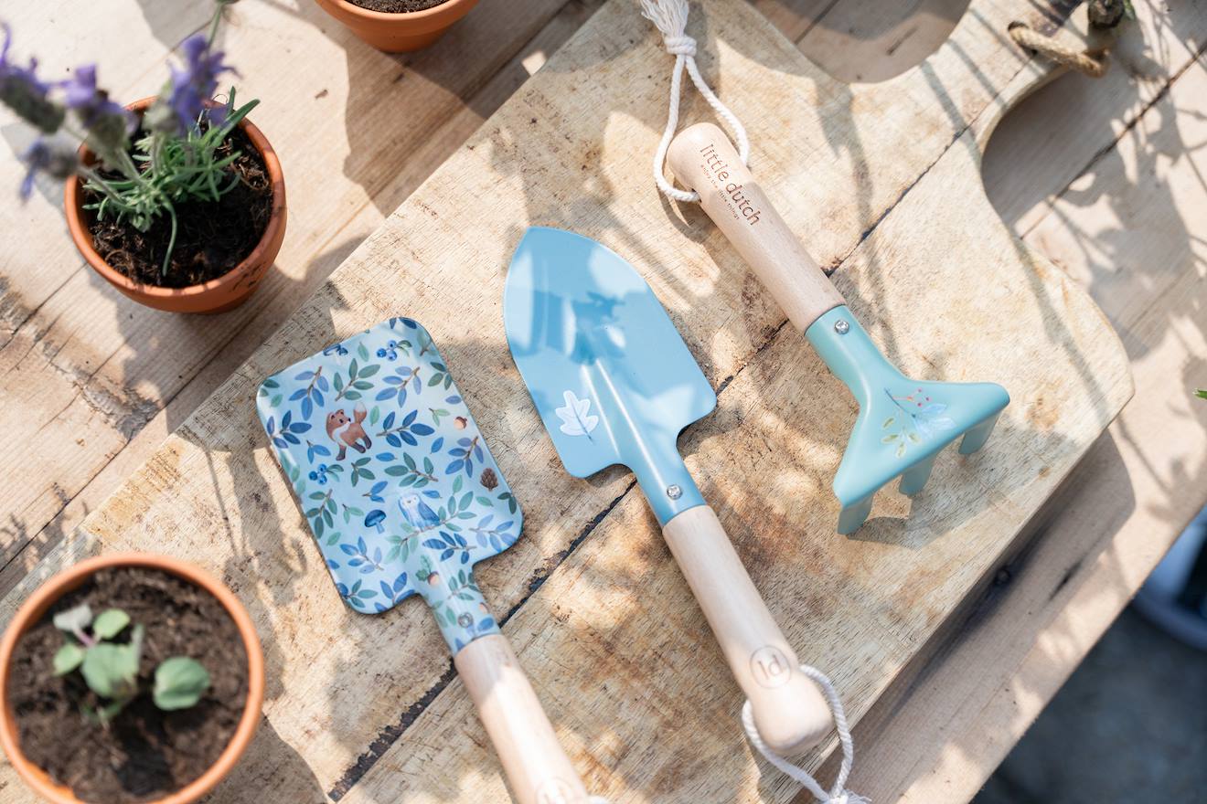 Outils de jardin bleu